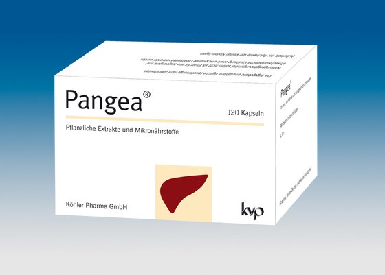 Pangea