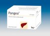 Pangea