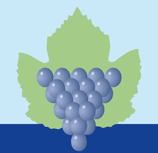 Grafik Resol Weintrauben-Logo