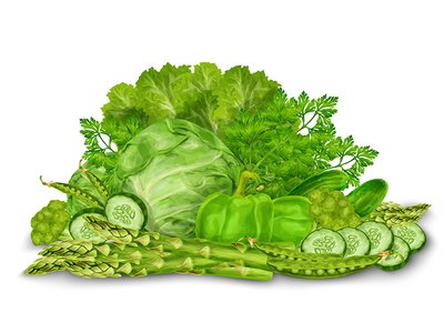 Zeichnung grünes Gemüse
