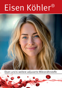 Broschüre Eisen Köhler