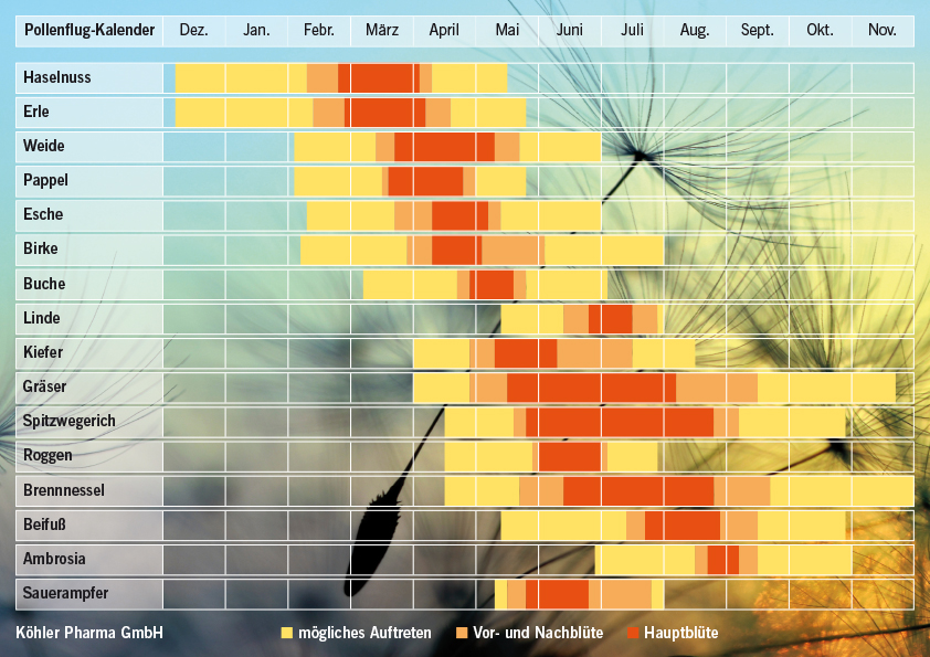 Grafik - Pollenflugkalender